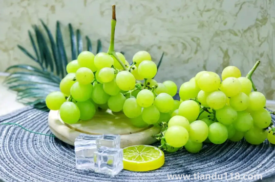 陽光玫瑰葡萄怎么辨別真假(陽光玫瑰葡萄幾月份上市)(圖3) 陽光玫瑰葡萄怎么辨別真假3