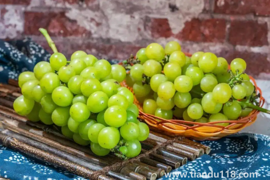 陽(yáng)光玫瑰葡萄無(wú)籽是打了避孕藥嗎(陽(yáng)光玫瑰葡萄怎么挑選)(圖3) 陽(yáng)光玫瑰葡萄無(wú)籽是打了避孕藥嗎3