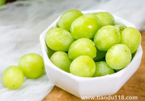 陽光玫瑰葡萄和晴王葡萄是一個(gè)品種嗎(吃陽光玫瑰有什么好處)(圖3) 陽光玫瑰葡萄和晴王葡萄是一個(gè)品種嗎3