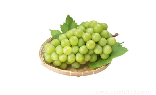 陽光玫瑰葡萄和晴王葡萄是一個(gè)品種嗎(吃陽光玫瑰有什么好處)(圖2) 陽光玫瑰葡萄和晴王葡萄是一個(gè)品種嗎2