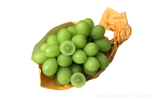 陽光玫瑰葡萄和晴王葡萄哪個(gè)價(jià)格貴(晴王葡萄多少錢一斤)(圖2) 陽光玫瑰葡萄和晴王葡萄哪個(gè)價(jià)格貴2