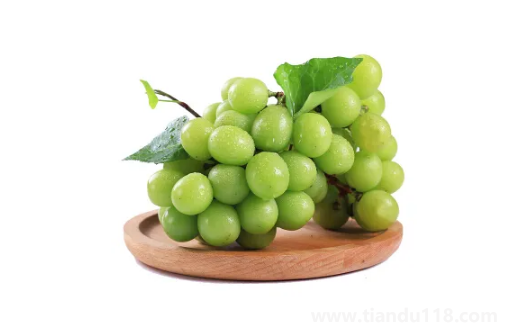 陽(yáng)光玫瑰葡萄是熱性還是涼性(陽(yáng)光玫瑰葡萄多少錢一斤)(圖2) 陽(yáng)光玫瑰葡萄是熱性還是涼性2