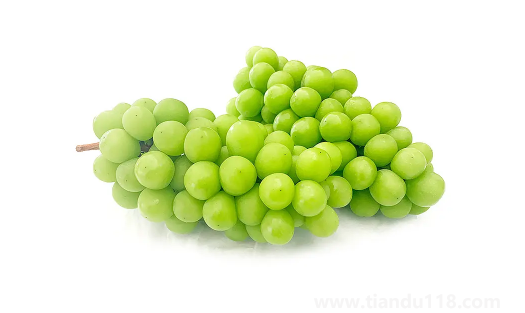 陽光玫瑰葡萄是熱性還是涼性（陽光玫瑰葡萄多少錢一斤）