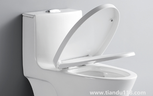 馬桶圈裂了有單賣的嗎(馬桶坐的那個圈壞了怎么辦)(圖1) 馬桶圈裂了有單賣的嗎1