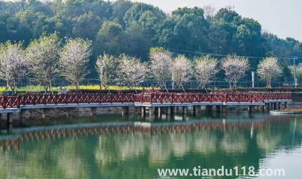 2022國慶開車去長沙是1號走好還是30號晚上好3