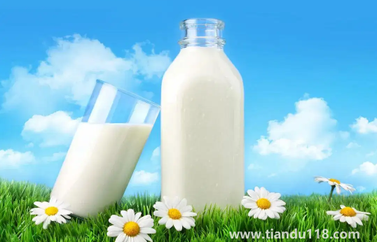 牛初乳的功效與作用及副作用（牛初乳怎么吃效果好）