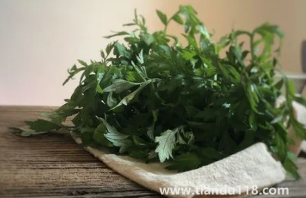 新娘床上放艾草寓意什么(新娘床上放艾草什么時(shí)候放)(圖3) 新娘床上放艾草寓意什么 3