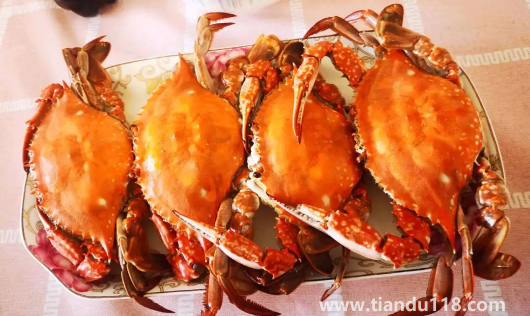 梭子蟹和橡皮筋一起蒸有毒嗎(清蒸梭子蟹的做法)(圖3) 梭子蟹和橡皮筋一起蒸有毒嗎3