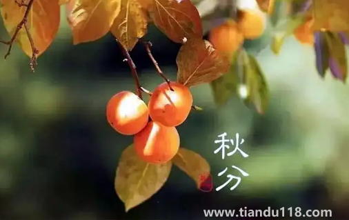 2022年秋分節(jié)氣在南方熱不熱(秋分后天氣有什么變化)(圖3) 2022年秋分節(jié)氣在南方熱不熱3