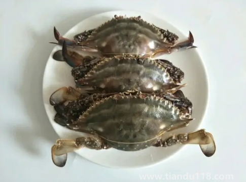 二母梭子蟹幾月最肥3