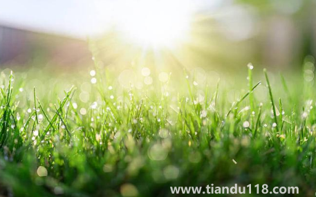 2022北京的冬天什么時(shí)候開始冷3