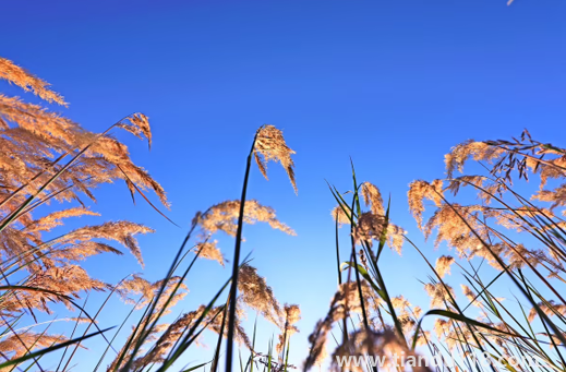 2022國慶節(jié)會有冷空氣嗎（國慶節(jié)天氣怎么樣）