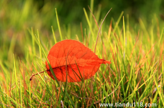 2022國(guó)慶節(jié)會(huì)有冷空氣嗎(國(guó)慶節(jié)天氣怎么樣)(圖3) 2022國(guó)慶節(jié)會(huì)有冷空氣嗎3