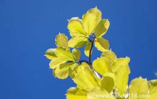 2022國(guó)慶節(jié)會(huì)有冷空氣嗎(國(guó)慶節(jié)天氣怎么樣)(圖2) 2022國(guó)慶節(jié)會(huì)有冷空氣嗎2