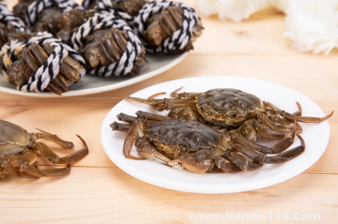 買來的活螃蟹暫時不吃怎么保存3