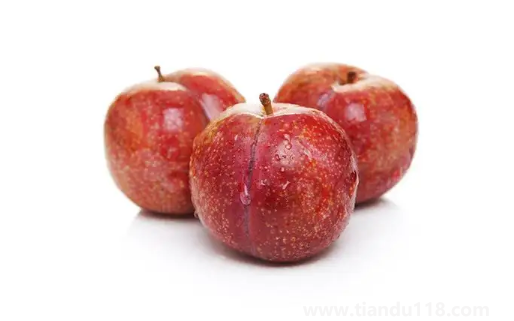 三華李和雙華李哪個更甜2