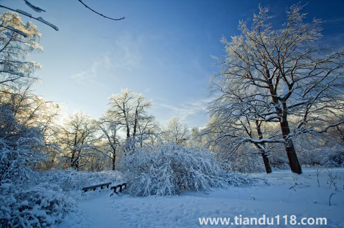 今年冬天會不會很冷2022-2023(冬天天氣冷吃什么好)(圖1) 今年冬天會不會很冷2022-20231