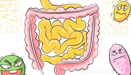 只需一片姜排出4斤宿便真的假的（肚子有宿便自己可以摸出來嗎）