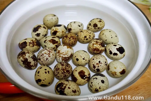 鵪鶉蛋和雞蛋哪個(gè)小孩吃了好(鵪鶉蛋和雞蛋的區(qū)別)(圖3) 鵪鶉蛋和雞蛋哪個(gè)小孩吃了好3