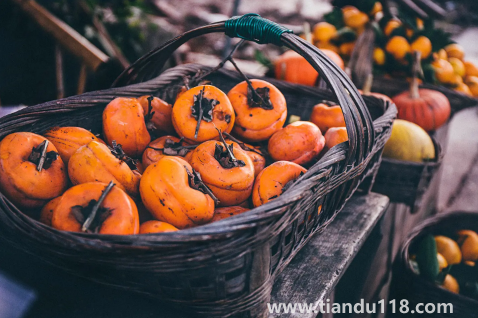 柿子和酸奶間隔多久可以吃(柿子不能和什么一起吃)(圖2) 柿子和酸奶間隔多久可以吃2