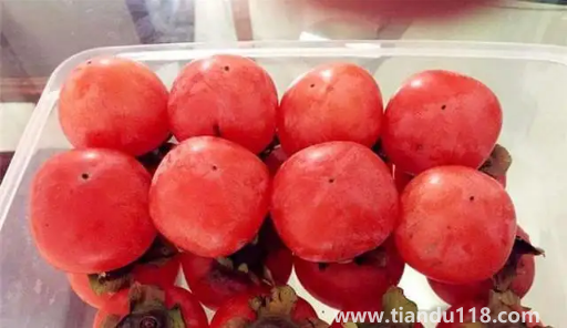 火葫蘆柿子吃軟的還是硬的(吃柿子的注意事項)(圖3) 火葫蘆柿子吃軟的還是硬的3