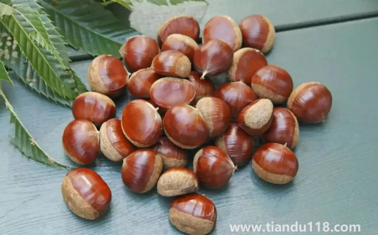 炒熟的板栗可以放冰箱冷凍保存嗎2