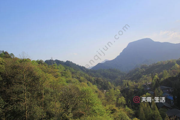 玩青城山要多長時間